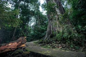 BIB: 
                            <button type="button" onclick="openModal(24809326)" class="btn btn-primary btn-sm float-right btn-popup" data-toggle="modal" data-target=".modal-high-quality">
                        <i class="fas fa-shopping-cart"></i> Add to Cart
                    </button>
                                            <button type="button" onclick="isThisMe(24809326, true)" class="btn btn-success btn-sm float-right btn-popup btn-isme hidden" data-toggle="tooltip" data-placement="bottom" title="นี่คือรูปของคุณใช่ไหม คลิกที่นี่เพื่อเอาเข้าอัลบั้ม">
                        <i class="fas fa-plus"></i> Add to album
                    </button>
                    <button type="button" onclick="isThisMe(24809326, false)" class="btn btn-warning btn-sm float-right btn-popup btn-isnotme hidden">
                        <i class="fas fa-ban"></i> Remove from album
                    </button>